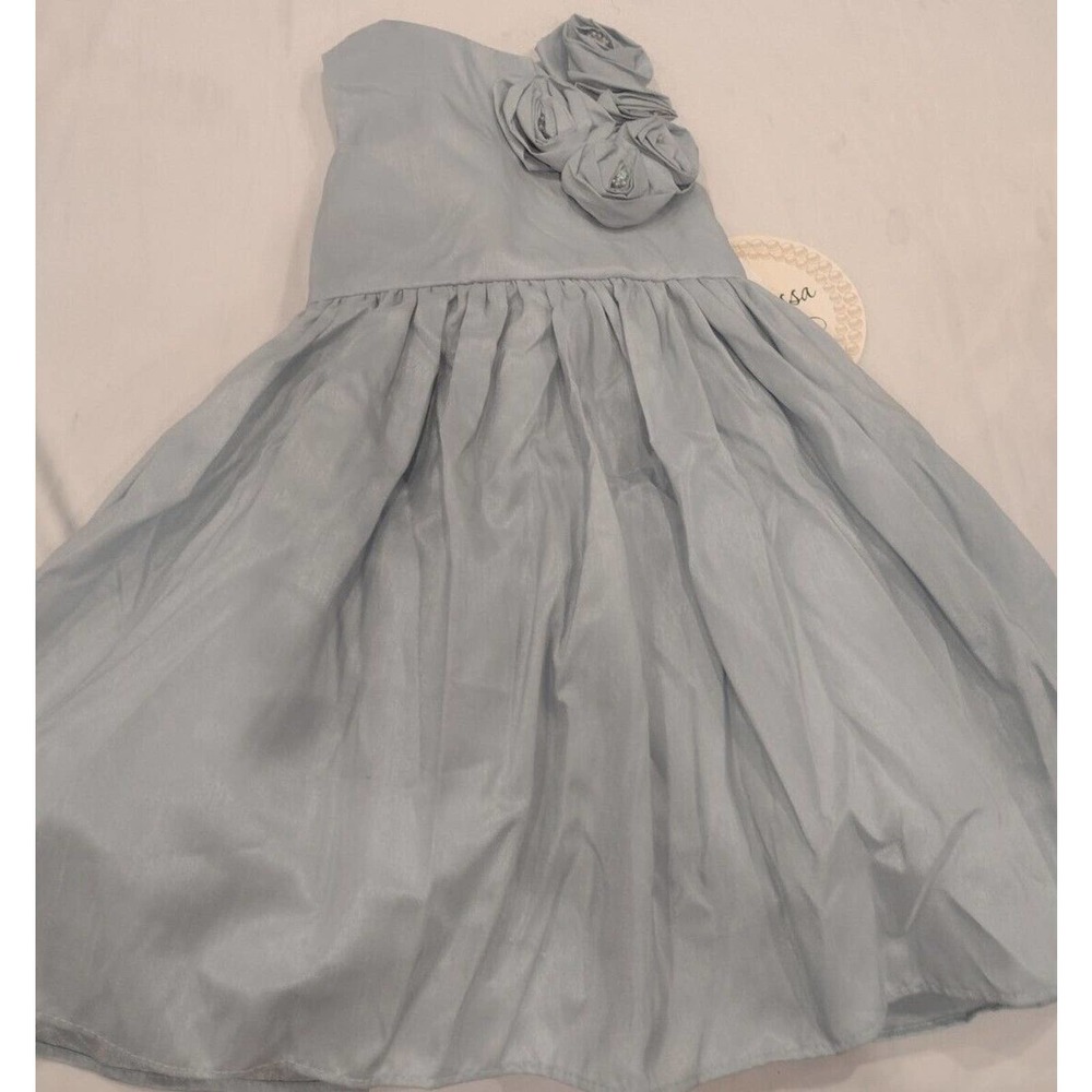 Dorissa Girls Dress Light Blue 18 mo. A-LINE Tie-Waist puffy skirt, roses